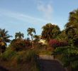 Jardin Martinique Luxe Hebergements La Favorite Prices & Specialty B&b Reviews