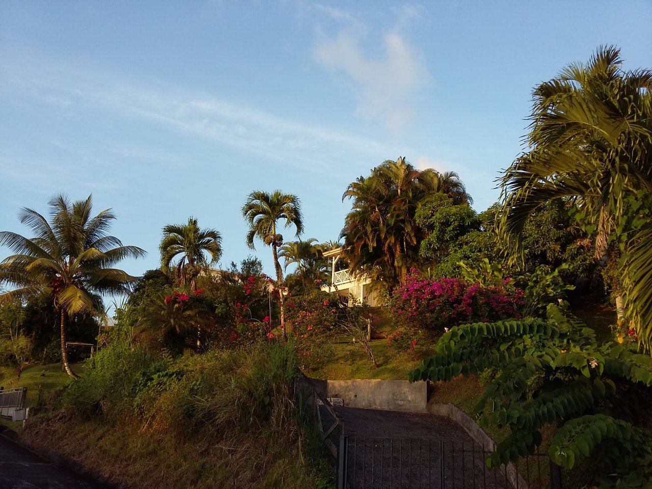 Jardin Martinique Luxe Hebergements La Favorite Prices & Specialty B&b Reviews