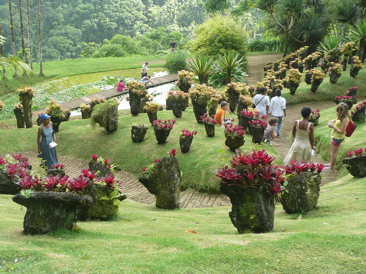 Jardin Martinique Luxe Jardin De Balata