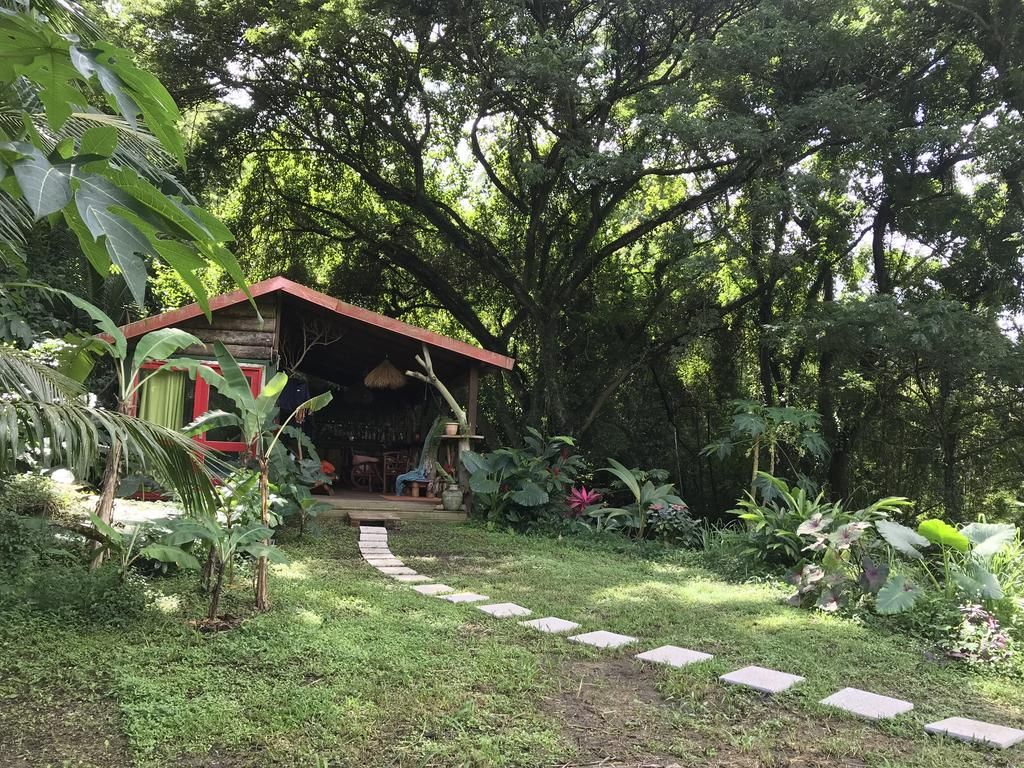 Jardin Martinique Nouveau épinglé Sur Martinique Treehouse