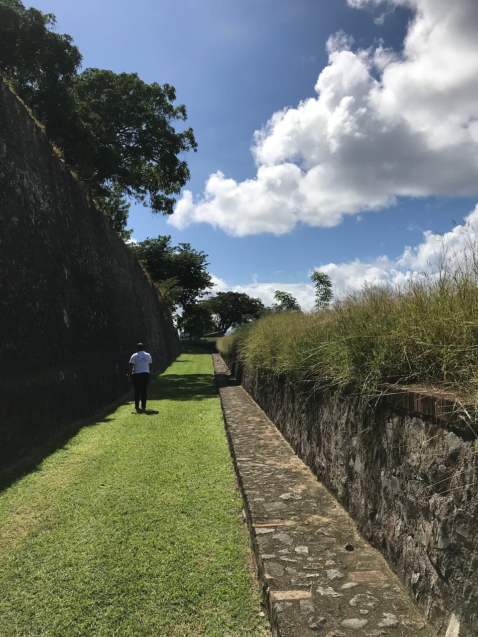 Jardin Martinique Unique Ft St Louis fort De France 2020 All You Need to Know