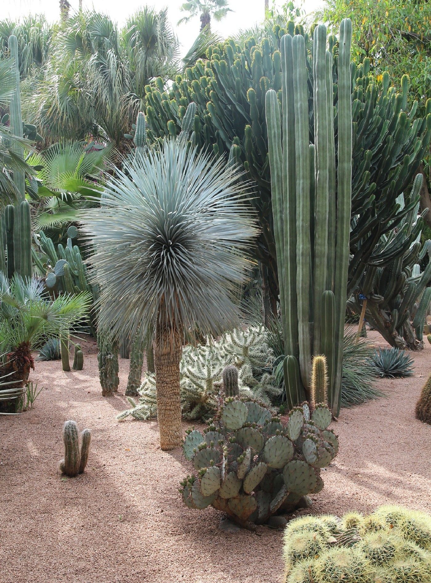 Jardin Menara Beau southwest Style Garden Ideas