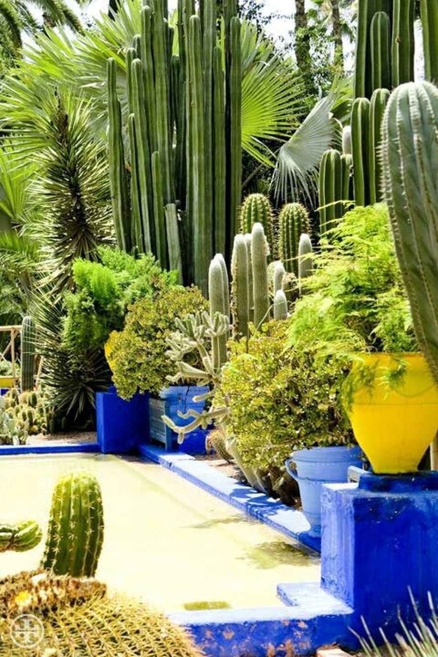 Jardin Menara Beau Stunning Desert Garden Ideas for Home Yard 64