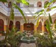 Jardin Menara Best Of Best Price On Riad Jardin Secret In Marrakech Reviews