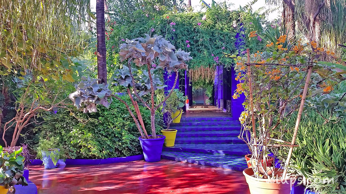 Jardin Menara Best Of Fleurs Et Jardin   Marrakech Smart Marrakech