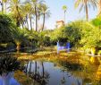 Jardin Menara Best Of Majorelle Garden