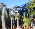 Jardin Menara Best Of Marrakech Designers Abroad