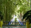 Jardin Menara Élégant Fleurs Et Jardin   Marrakech Smart Marrakech