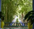 Jardin Menara Élégant Fleurs Et Jardin   Marrakech Smart Marrakech
