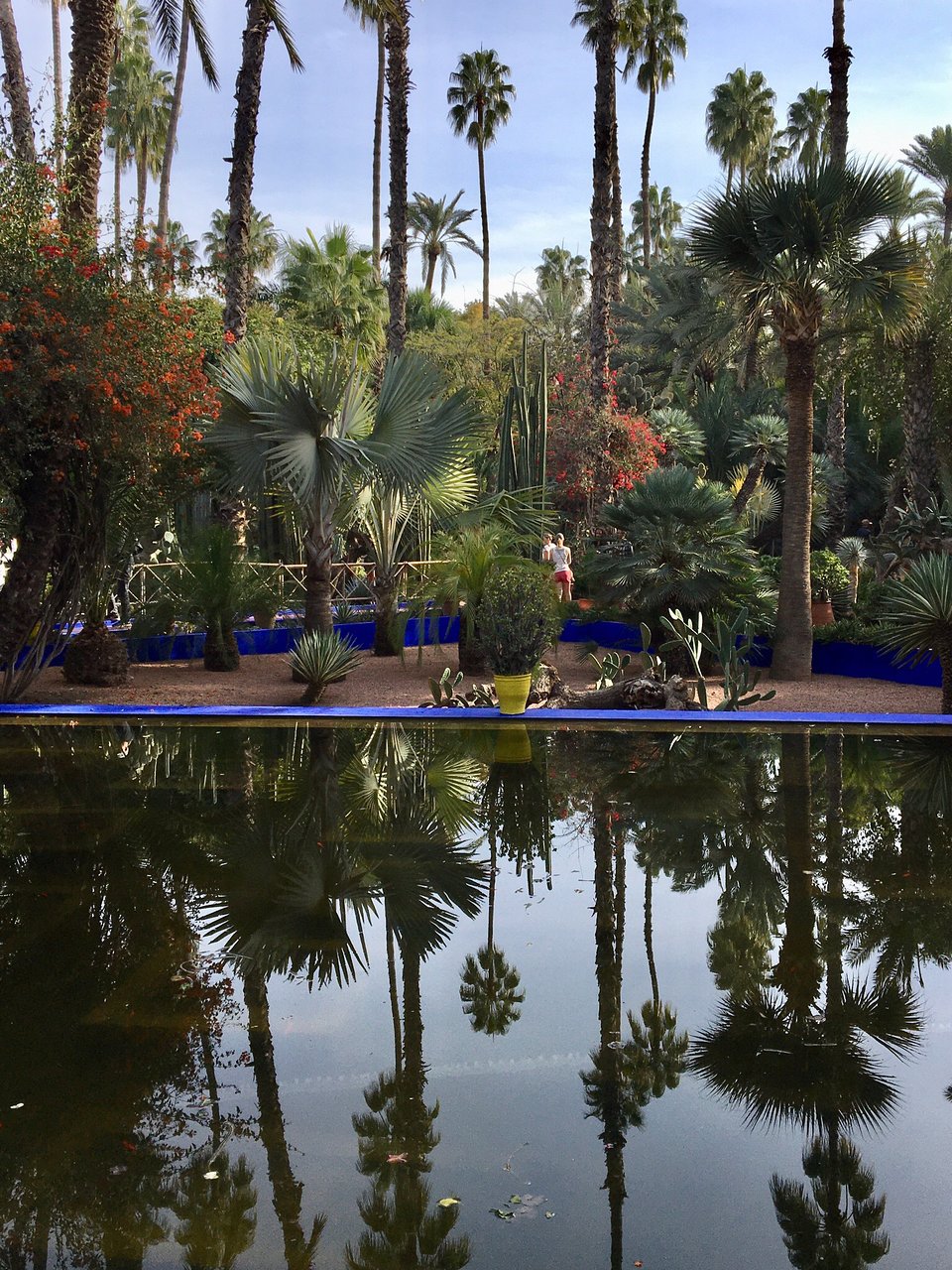 Jardin Menara Frais Jardin Majorelle Marrakech 2020 All You Need to Know