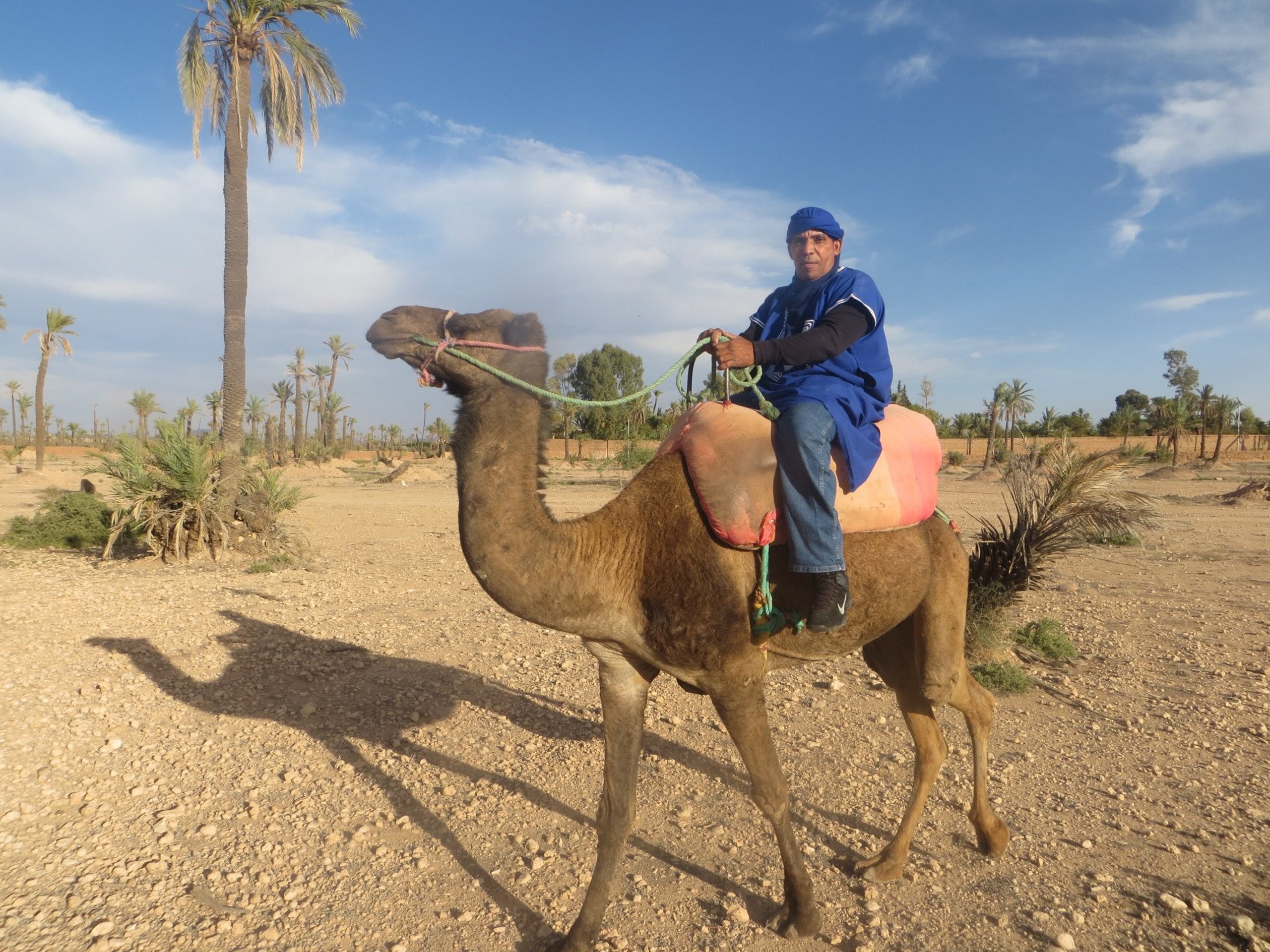 a lomo de camello por