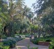 Jardin Menara Génial Swimming Pool In Marrakech for Luxury Lovers