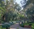 Jardin Menara Génial Swimming Pool In Marrakech for Luxury Lovers