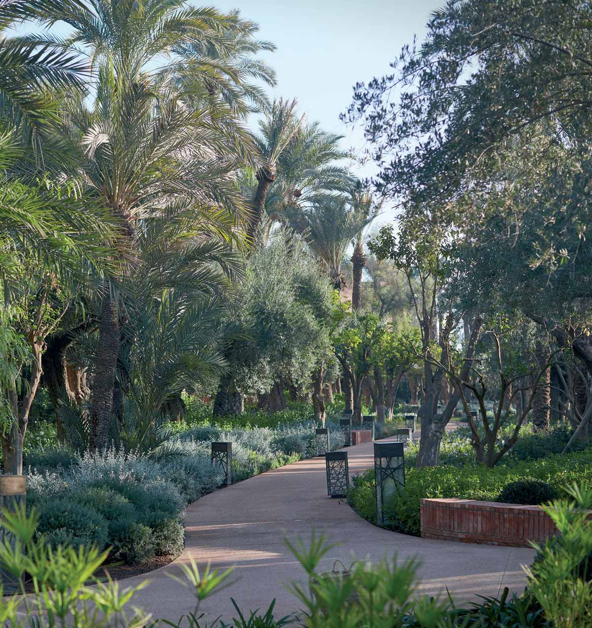 Jardin Menara Génial Swimming Pool In Marrakech for Luxury Lovers
