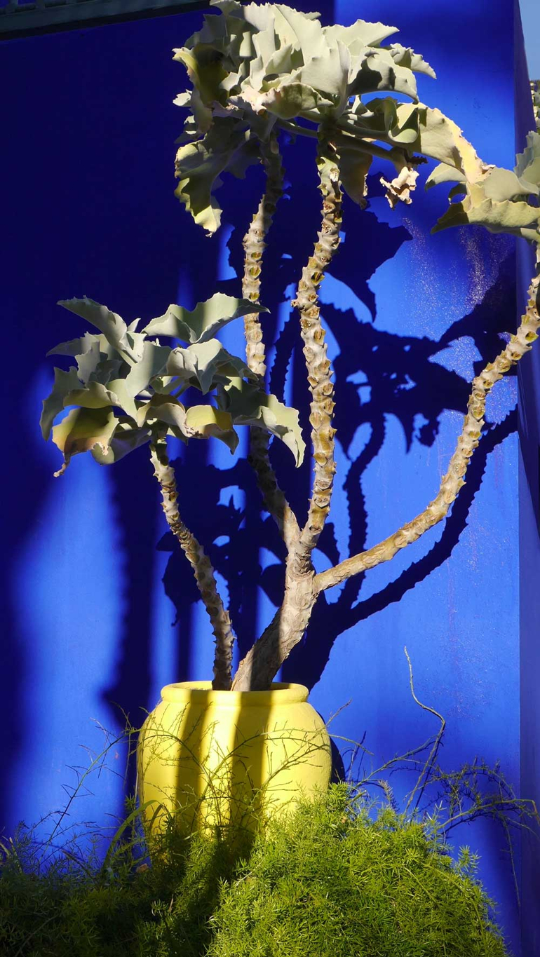 Jardin Menara Inspirant Marrakech Designers Abroad