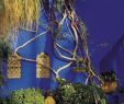 Jardin Menara Luxe S Morocco Page 1
