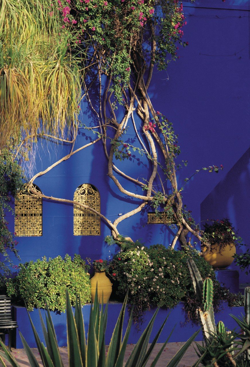 marrakech jardin majorelle