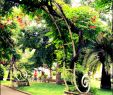 Jardin Menton Best Of Nice France
