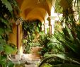 Jardin Menton Charmant 234 Best Menton Les Jardins Images