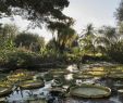 Jardin Menton Génial Botanical Garden Val Rahmeh Menton