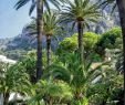 Jardin Menton Inspirant 234 Best Menton Les Jardins Images