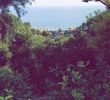 Jardin Menton Luxe La Maison Du Citron Menton 2020 All You Need to Know