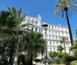 Jardin Menton Unique Apartment orient Palace Jardin Exotique Menton France