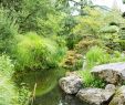 Jardin Nantes Beau Japanese Garden On the island Of Versailles – Nantes