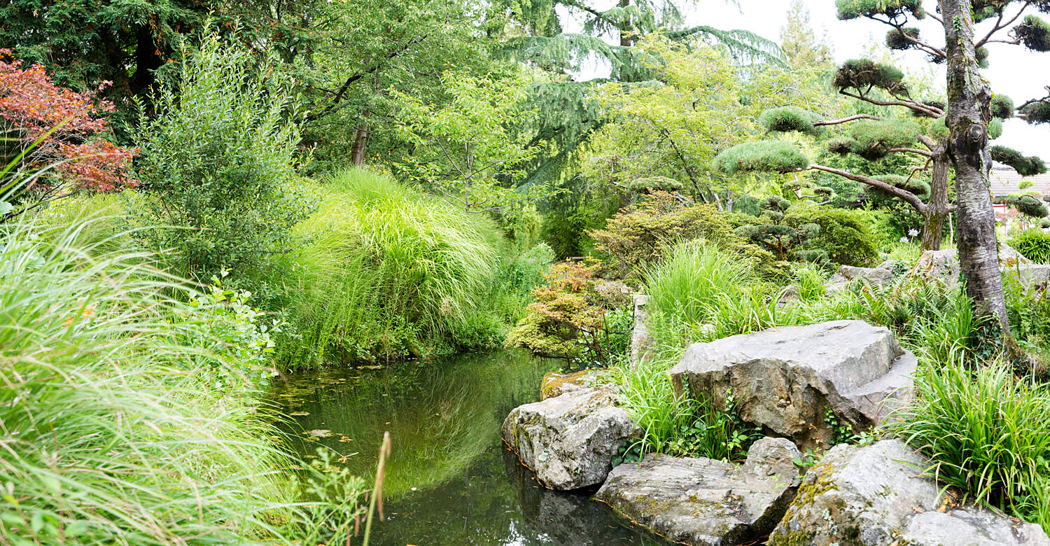 Jardin Nantes Beau Japanese Garden On the island Of Versailles – Nantes