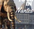 Jardin Nantes Best Of 6 Awesome Things to Do In Nantes France