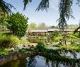 Jardin Nantes Charmant Japanese Garden On the island Of Versailles – Nantes