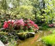 Jardin Nantes Élégant Japanese Garden On the island Of Versailles – Nantes