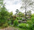 Jardin Nantes Génial Japanese Garden On the island Of Versailles – Nantes