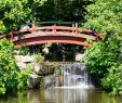 Jardin Nantes Inspirant Japanese Garden On the island Of Versailles – Nantes