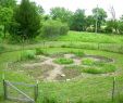 Jardin Naturel Best Of Mandala Garden Avec Des Trous De Serrure Pour Faciliter L