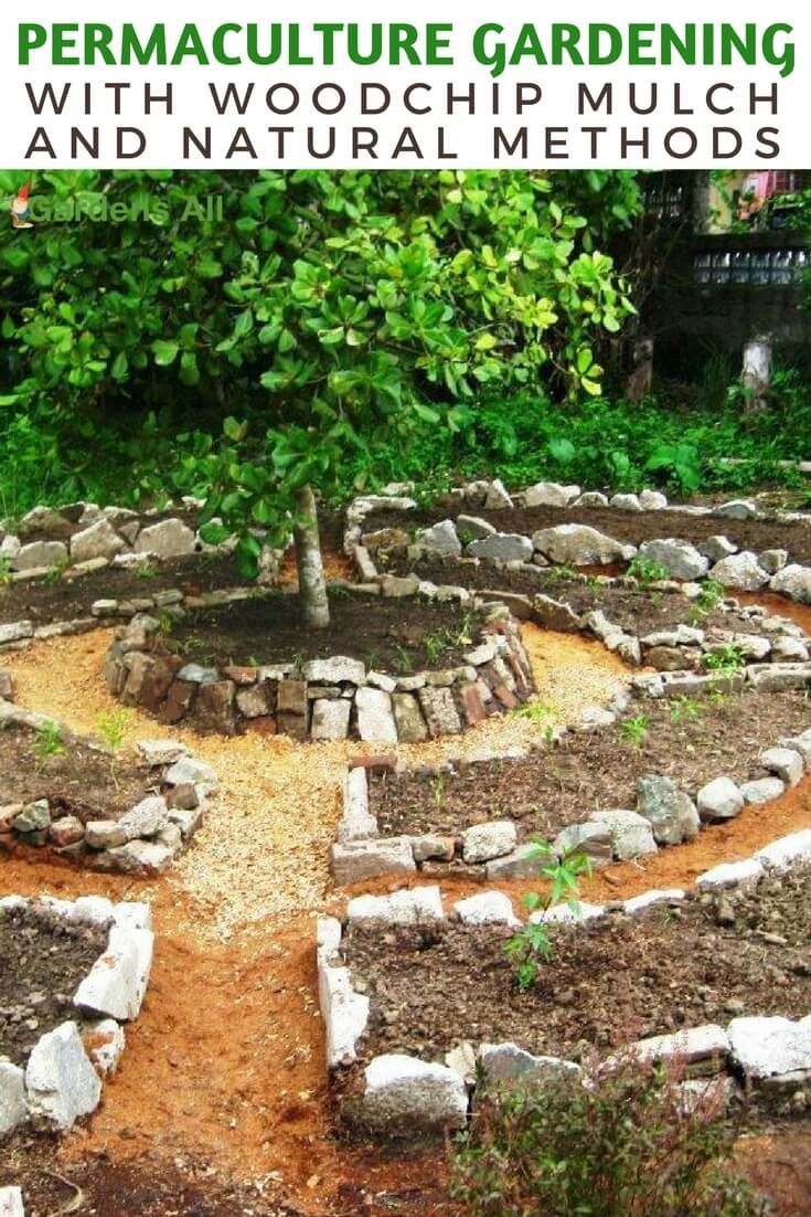 Jardin Naturel Charmant Permaculture Gardening with Woodchip Mulch and Natural