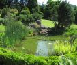 Jardin Naturel Élégant Bassin Jardinage — Wikipédia