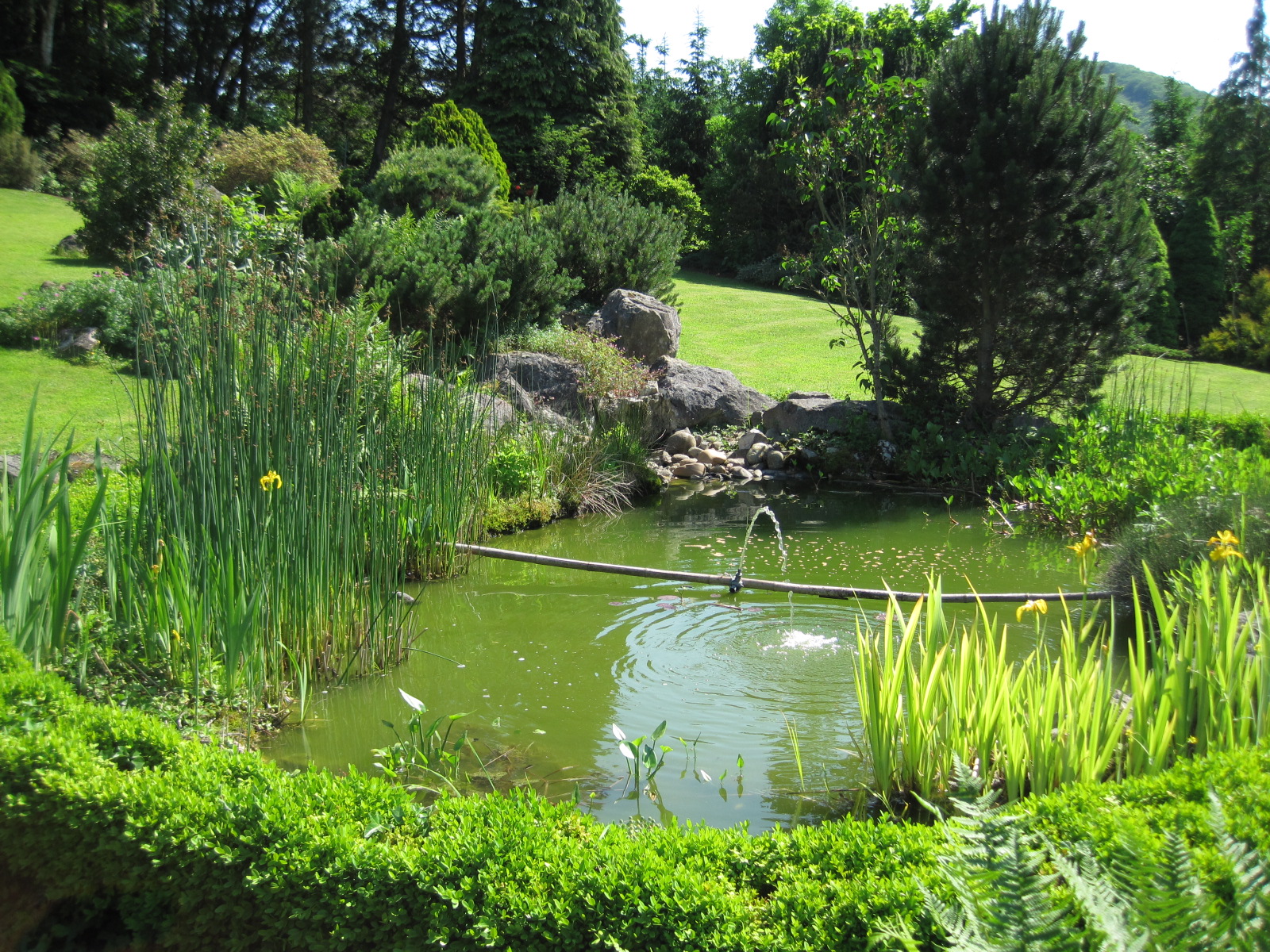 Jardin Naturel Élégant Bassin Jardinage — Wikipédia
