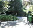 Jardin Naturel Élégant the 10 Best Things to Do Near Pere Lachaise Cemetery Paris