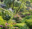 Jardin Naturel Frais 25 Beautiful Small Cottage Garden Ideas for Backyard