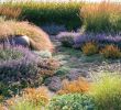 Jardin Naturel Nouveau épinglé Sur Sunset Gardening