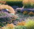 Jardin Naturel Nouveau épinglé Sur Sunset Gardening