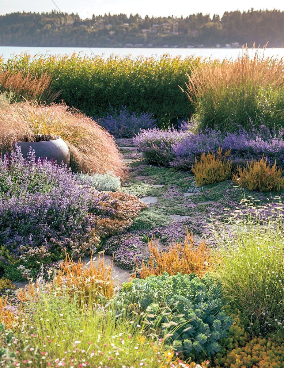 Jardin Naturel Nouveau épinglé Sur Sunset Gardening