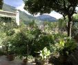 Jardin Nice Charmant File Majorque Valldemossa Chartreuse Musee Sand Chopin