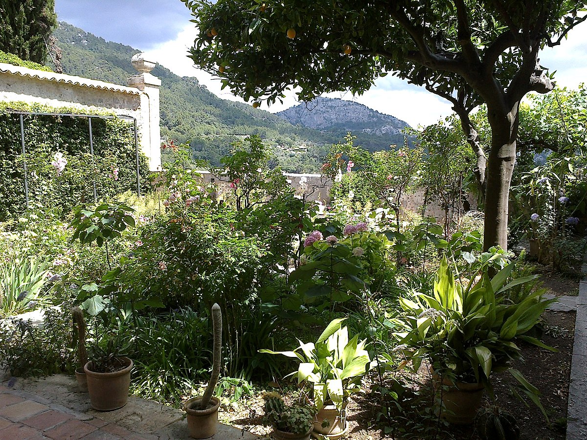 Jardin Nice Charmant File Majorque Valldemossa Chartreuse Musee Sand Chopin