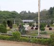 Jardin Nice Élégant Bangalore Palace Bengaluru 2020 All You Need to Know
