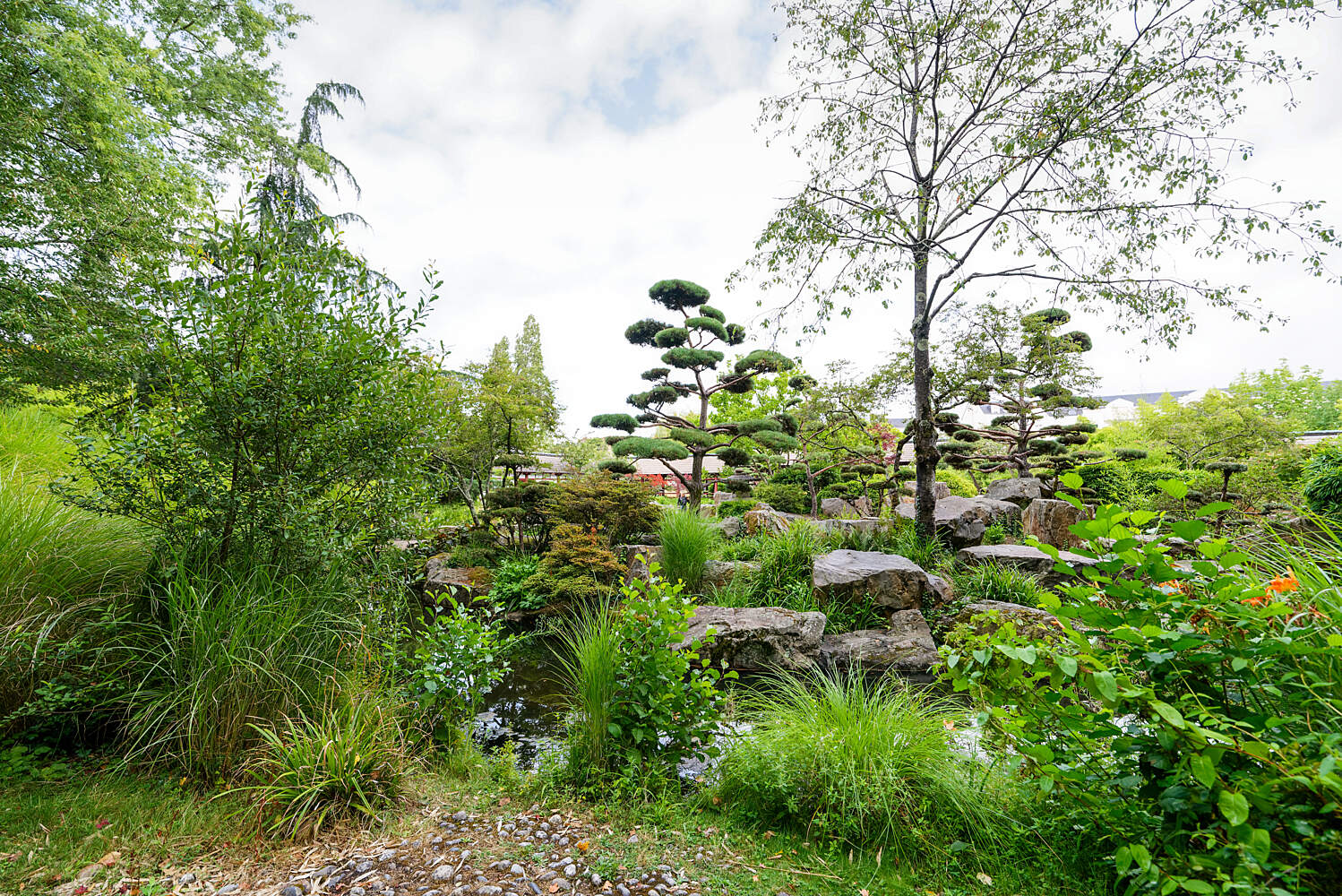 Jardin Nice Élégant Japanese Garden On the island Of Versailles – Nantes