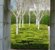 Jardin Niel toulouse Beau 59 Best Landscape Images In 2020