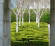 Jardin Niel toulouse Beau 59 Best Landscape Images In 2020