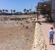 Jardin Niel toulouse Best Of Ein Gedi Best tours israel Take A Family tour In israel